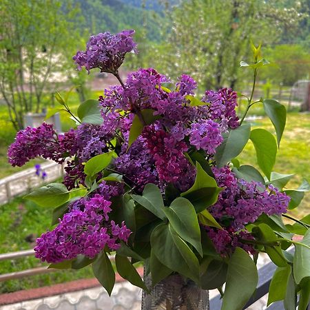 Green Mountain Боржомі Екстер'єр фото
